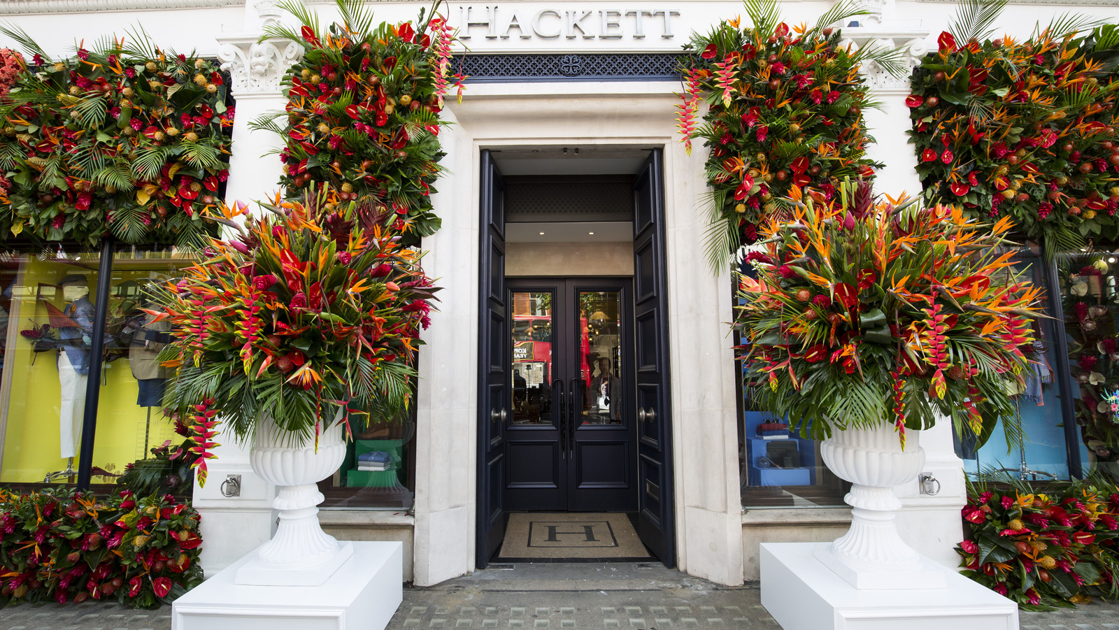 Secrets To Planting The Perfect Hanging Basket