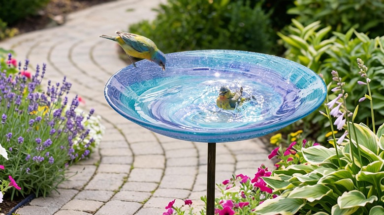 Two birds visiting a bird bath in a garden