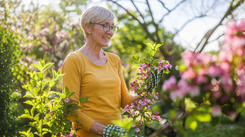 Working in the garden in spring