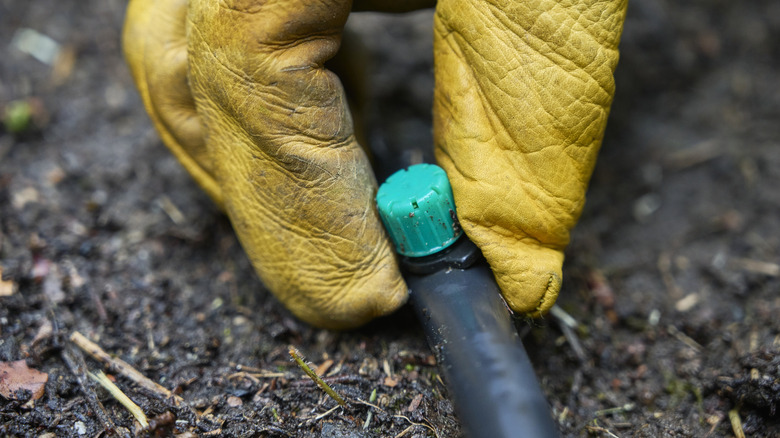 Gloved hand adjusting irrigation system in ground