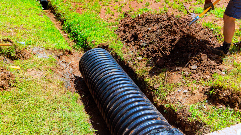 A person digging a hole next to a large black pipe in a trench dug in the ground surrounded by green grass