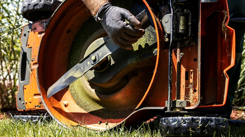 Close-up of a gloved hand near the blade of a lawn mower