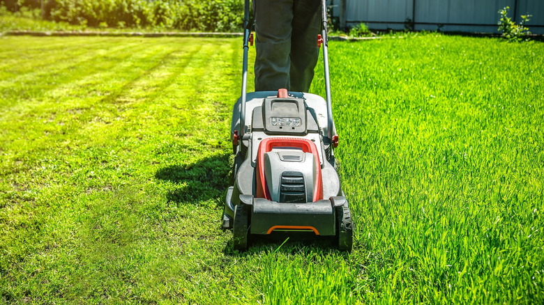 Someone cutting the grass with a cordless lawn mower