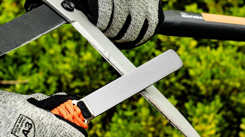 The SHARPAL file being used to sharpen a lopper blade