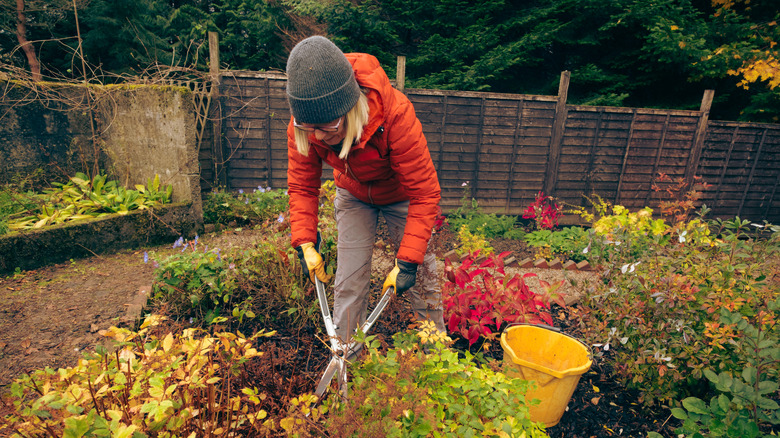 A woman in an orange jacket cutting back plants using a gardening tool.