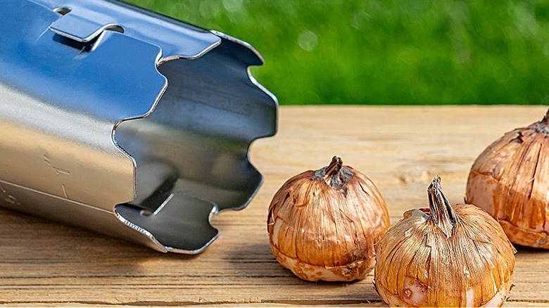 A bulb planter on a wood table next to three bulbs