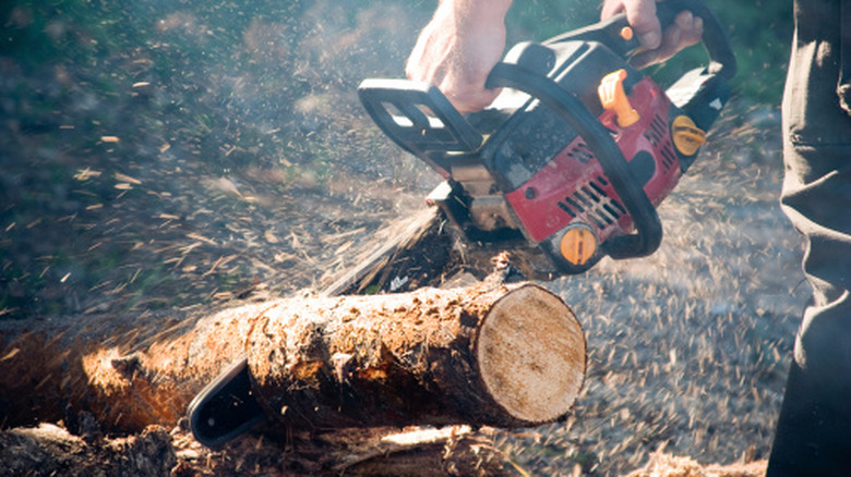 A man using a chainsaw to cut logs for firewood