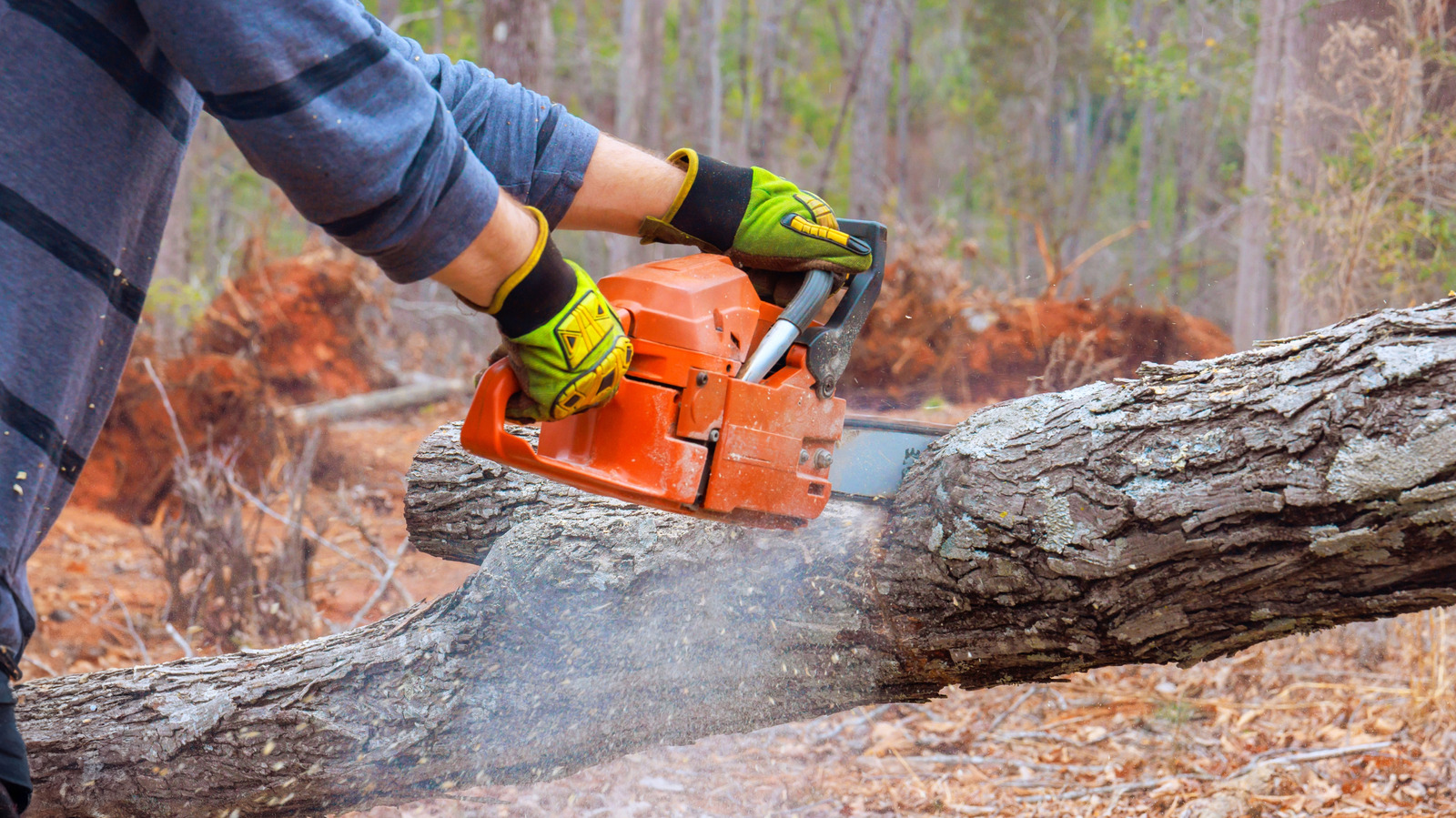 Sharpen Your Chainsaw With A Compact And Portable Amazon Find That ...