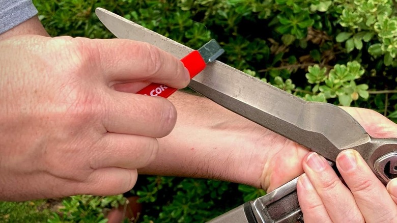 Using a Corona garden tool sharpener on a pair of gardening shears