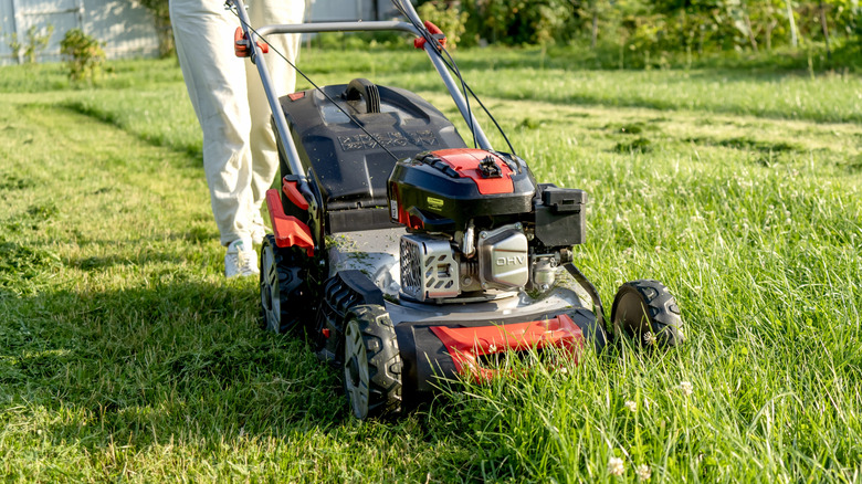 A person with a lawnmower working through thick grass