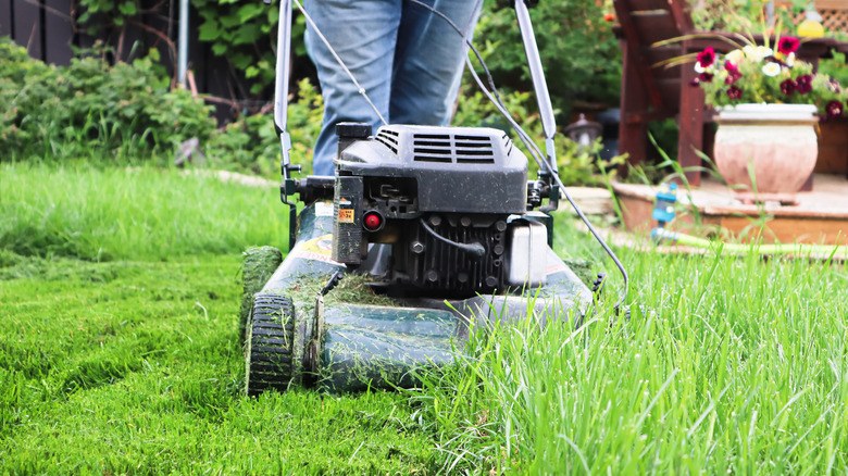 A lawn mower cutting tall grass