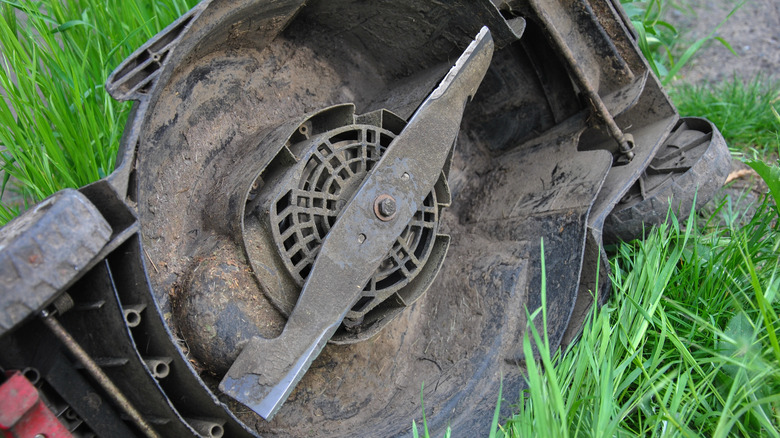 a lawn mower blade