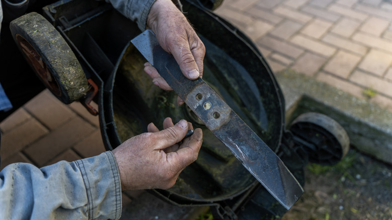 Person holding a lawn mower blade