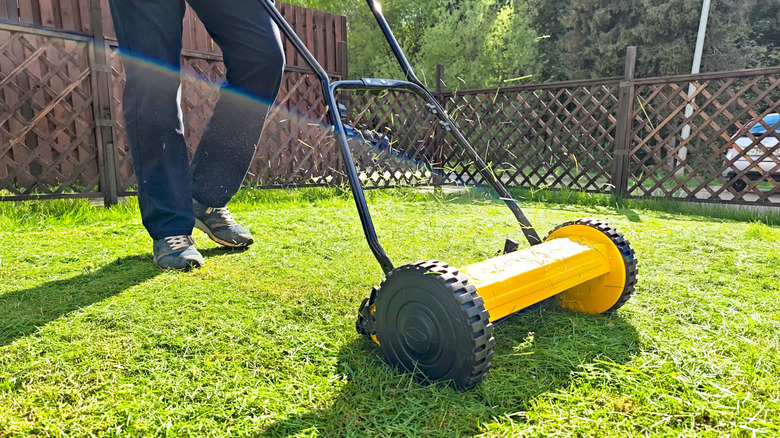 A person mowing the lawn with a reel mower