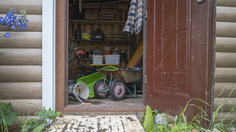 A shed with an open door in which there is household gardening equipment, a metal garden wheelbarrow, wooden boxes and tools.