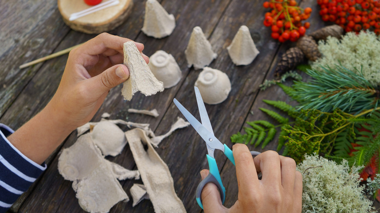 Woman cutting egg carton with scissors