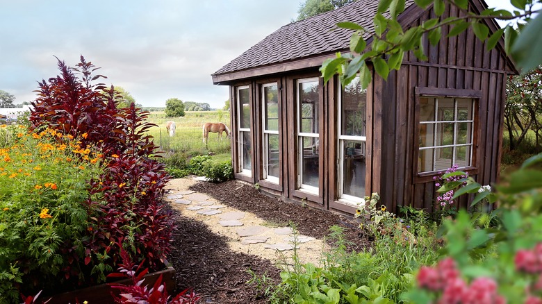 Shed surrounded by plants and horses