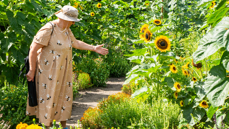 Woman wearing a brown dress with bees on it holds out her arm to sunflowers on a garden path