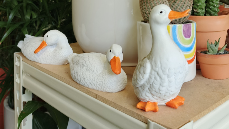 A row of duck figurines on a metal shelf with potted plants behind them.