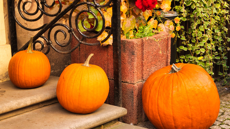 A display of bright orange pumpkins on stone steps