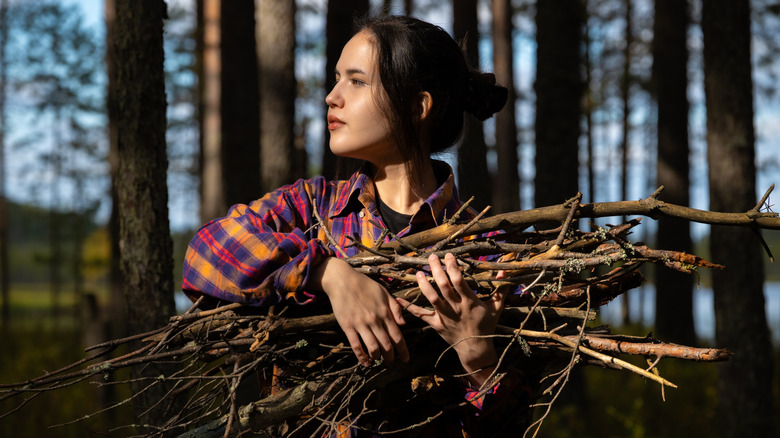 Someone gathers a large bundle of sticks in a thicket or wood.