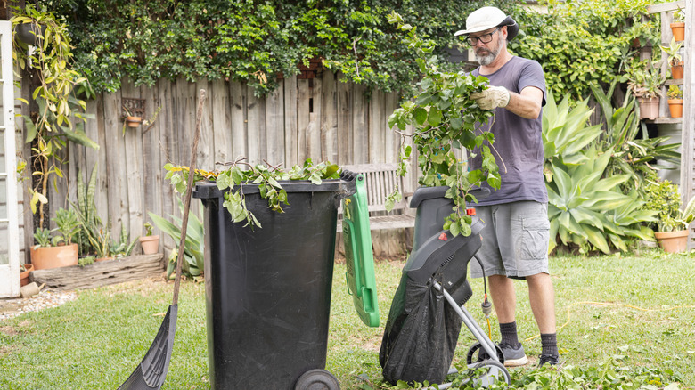 A gardener moves recently pruned shrub branches from a garden bin to a wood chipper.