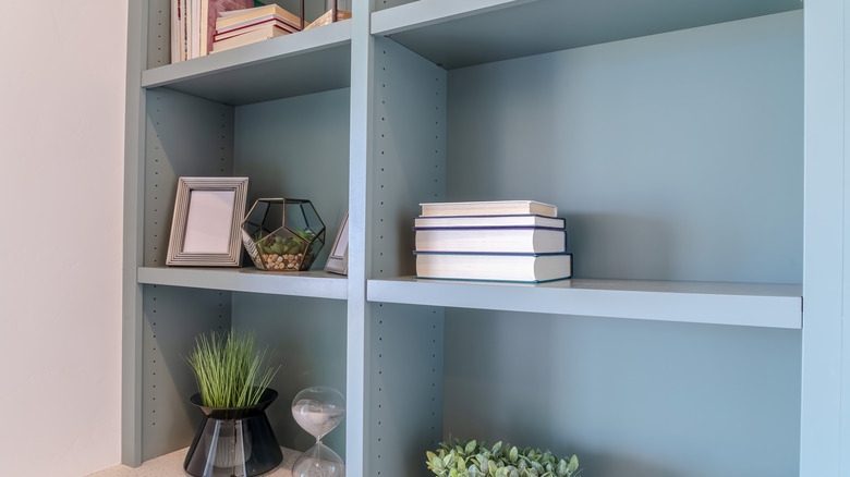 Light blue shelves with plants, books, and an empty picture frame against a white wall
