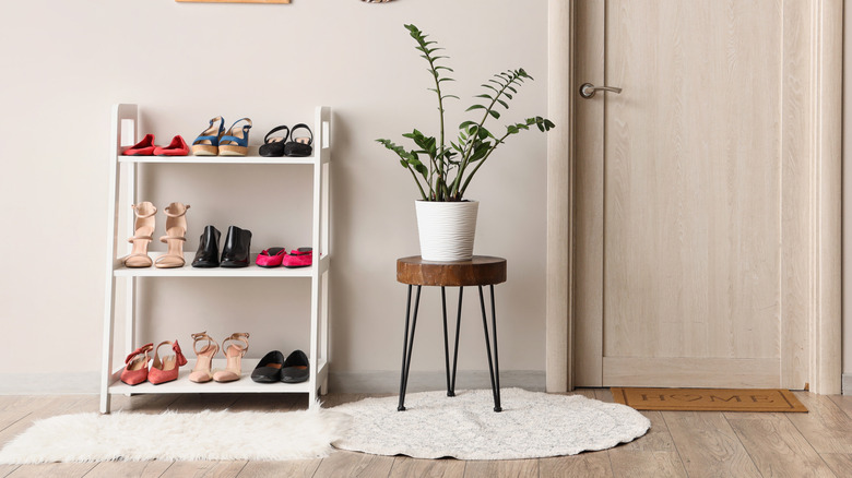 Rack of stylish clothes and shelving unit with female shoes near white wall in room.