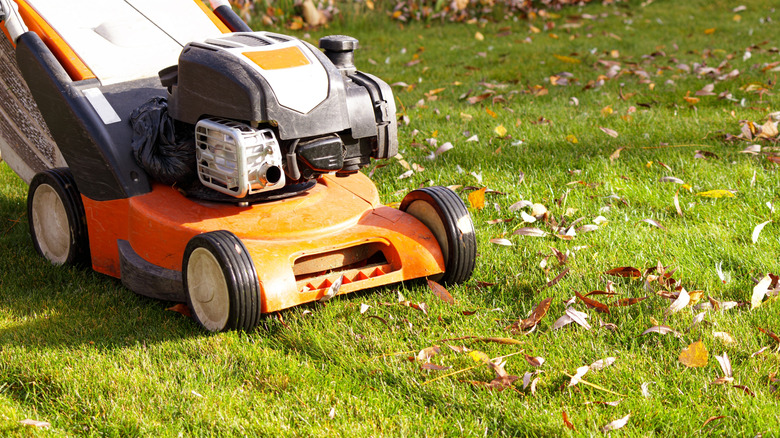 Orange lawn mower on a half-mowed lawn with some leaves