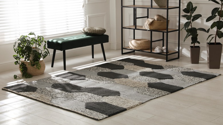 Carpet on modern living room