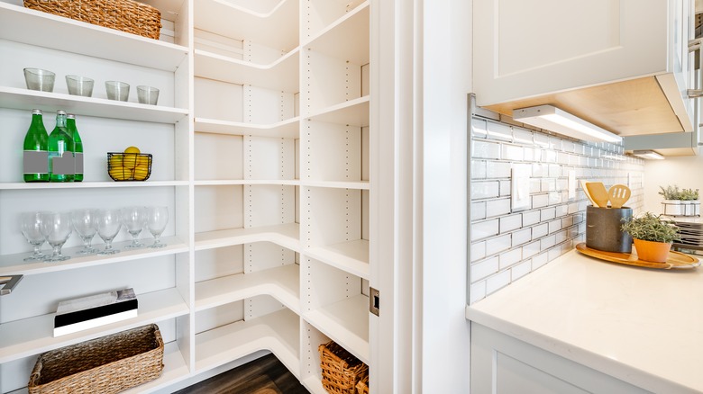 Pantry in kitchen