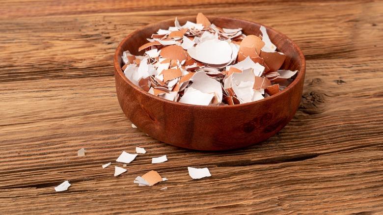 Cracked eggshells in wooden bowl