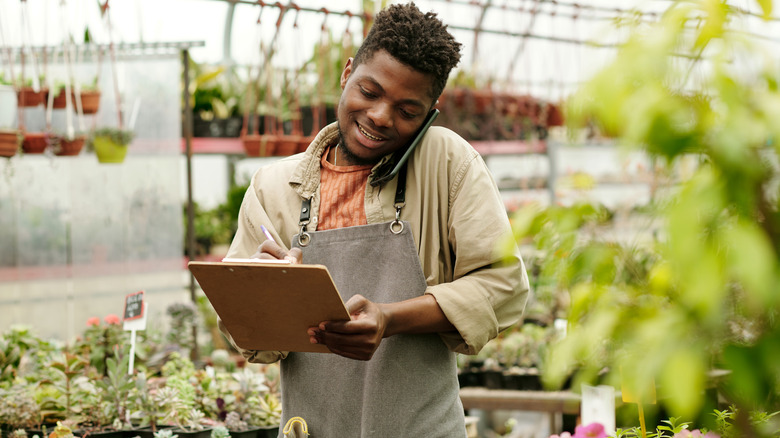 man working in plant nursery
