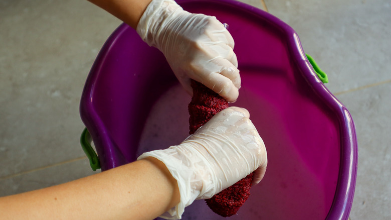 Wringing out sponge in bucket