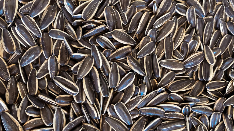 black sunflower seeds lay in a pile