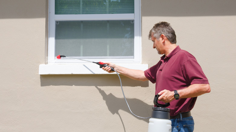 Man sprays for bugs along the outside of a window