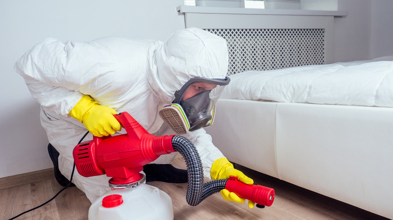 Man spraying pesticides in a bedroom