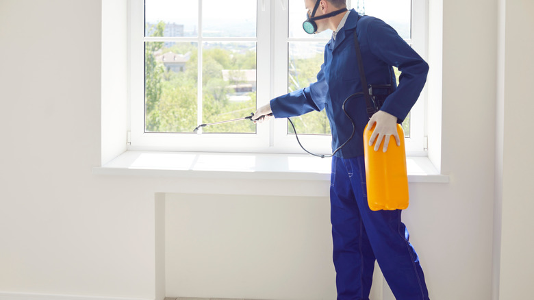 Man wearing protective gear while spraying for pests around home