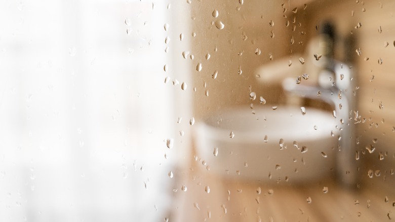 View through wet shower door