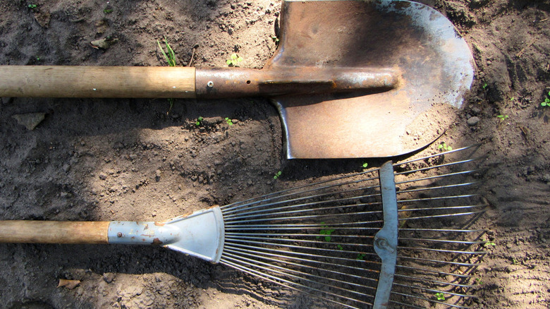 Rusty shovel and rake on the ground