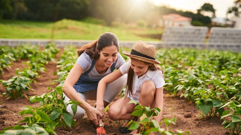 Woman and girl planting garden 