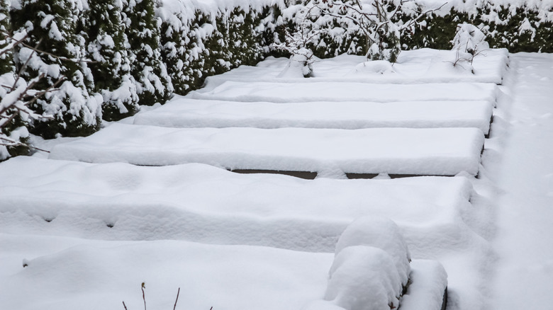 A row of raised beds fully covered in snow