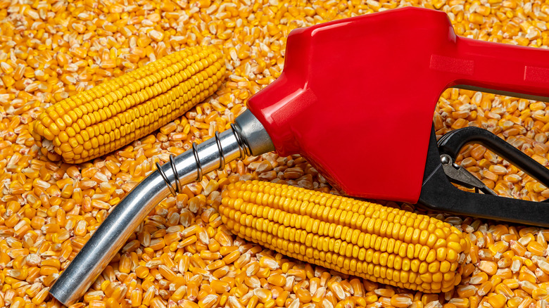 corn and fuel pump