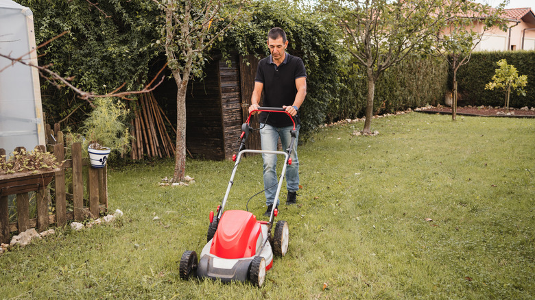 Man mowing a lawn with a red push mower
