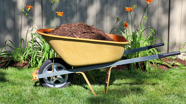 Wheelbarrow filled with mulch