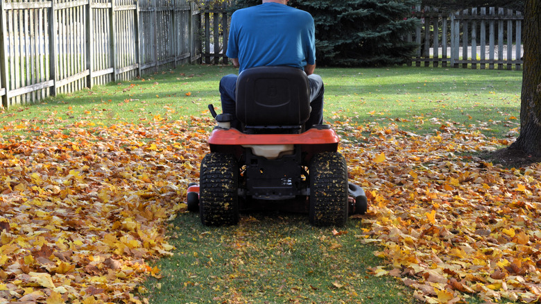 A man on a riding lawn mower mows over a leaf-covered lawn.