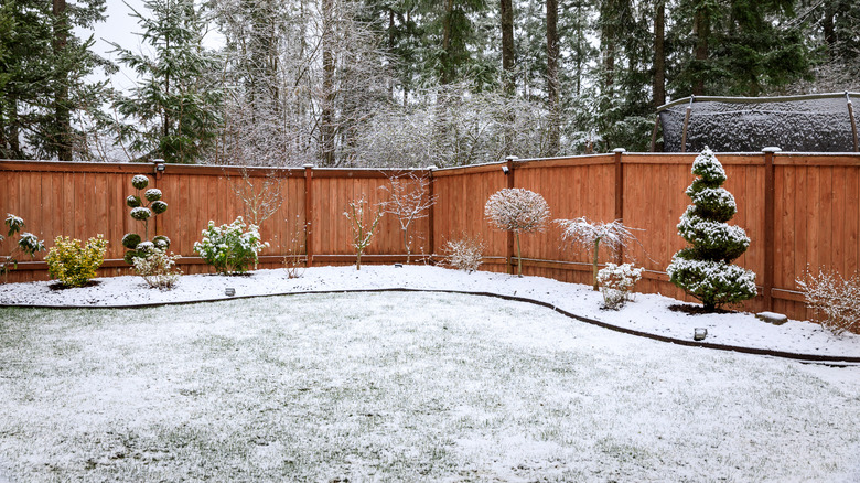 snow in backyard with fence