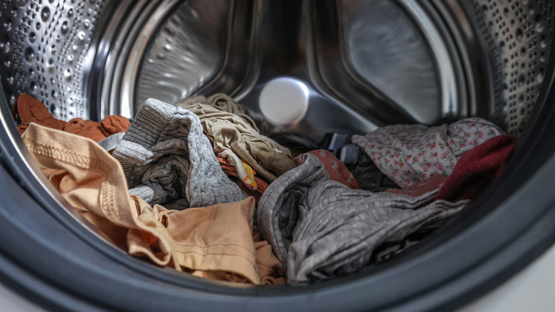Open laundry machine full of wet clothes