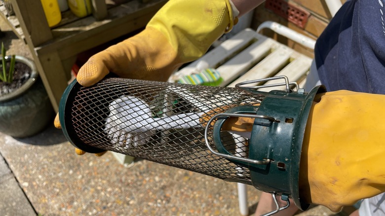 Cleaning bird feeder