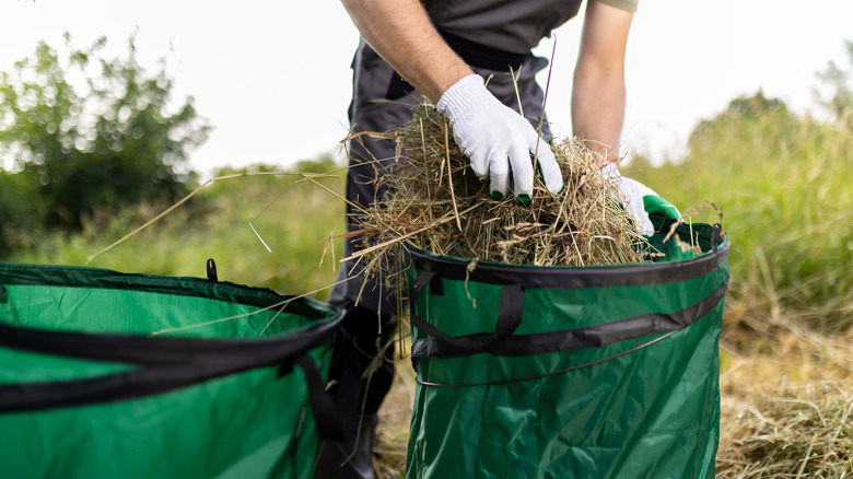 An individual is gathering straw for composting